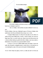 Bufnita PDF