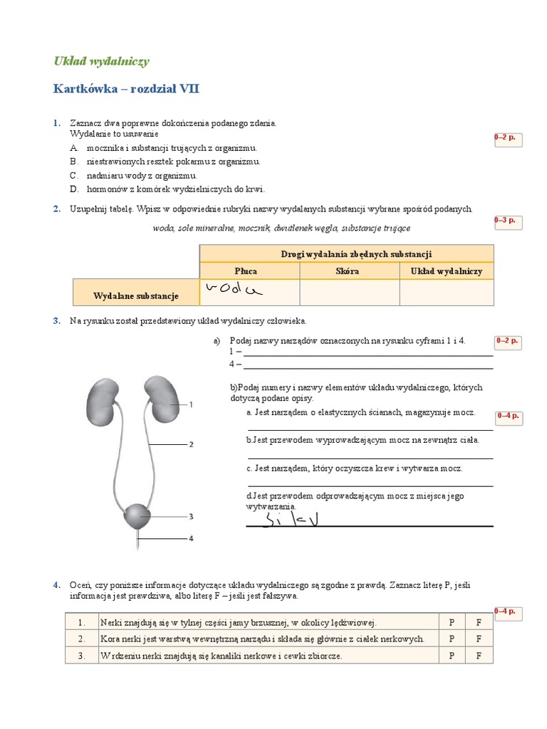 Sprawdzian Z Biologii Układ Pokarmowy
