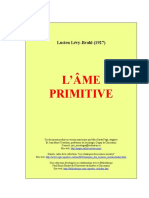 ame_primitive.doc