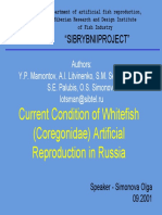 Current Condition of Whitefish (Coregonidae) Artificial Reproduction in Russia