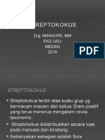 STREPTOKOKUS