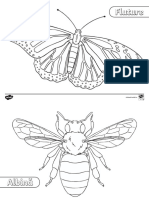 insecte-pagini-de-colorat_ver_1.pdf