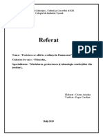 Referat Filozofie