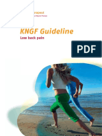 low_back_pain_practice_guidelines_2013.pdf