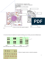 Biologia I Geologia Exercicis Repàs Eso 4T PDF