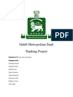 Habib Metro Final.docx
