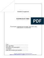 Standard ocupational-S.el..pdf