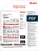 Explicatia Facturii de Gaze Naturale Eon Gaz Furnizare 03.2019 PDF