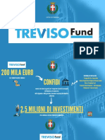 Treviso Fund