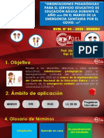 Orientaciones Edagogicas 2020 Por Emergencia - RVM #093-2020 - Minedu.