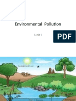 Environmental Polution