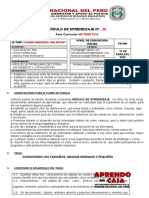 MODULO  IV -MAT-04 AÑOS.docx