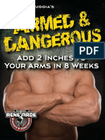 Armed Dangerous 2011 PDF