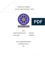 Paper Toxoplasma & Neospora