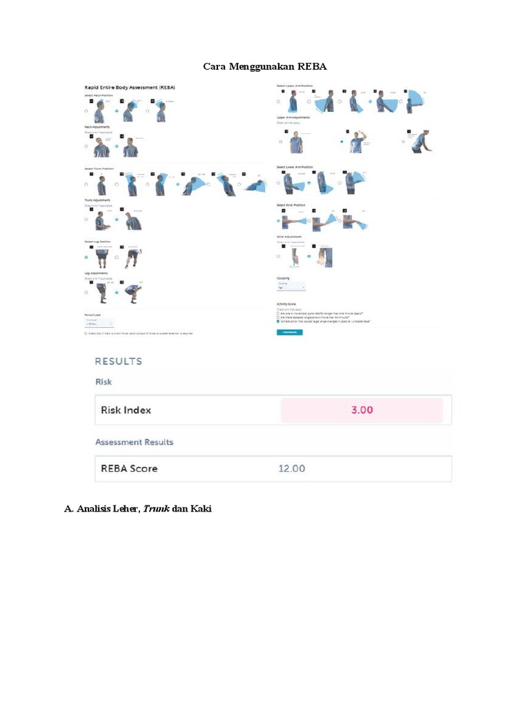 Panduan Analisis Skor REBA | PDF | Metode & Bahan Ajar | Kesehatan Holistik