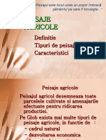 Peisaje Agricole