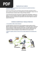 Cadenas Alimenticias y Niveles Troficos, Santiago Vasques, Grado 10-1