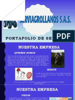 Portafolio Serviagrollanos S.A.S