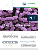 C.perfringens_es.pdf