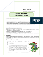 El Reino Monera Cianobacterias para Segundo de Secundaria