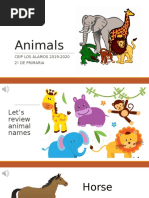 2o Primaria - Animals - 2003