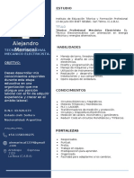 cv alejandro.docx