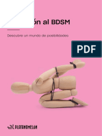 Guia de Iniciacion Al BDSM