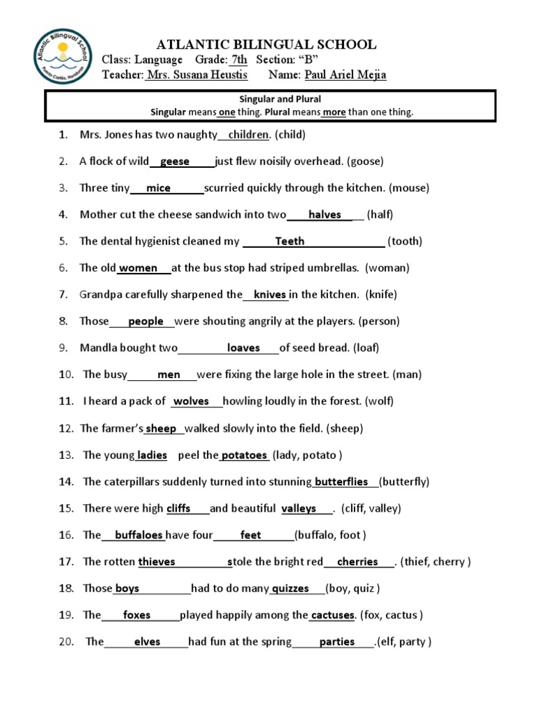 Singular and Plural Worksheet Class 7 | PDF | Grammatical Number | Plural