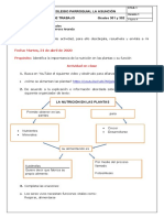 Guía de Trabajo Nutrición en Plantas Nicol