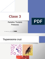 Clase 3 parasitologia_2019