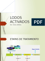 Lodos Activados 9 Junio