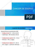 Cancerul esofagian