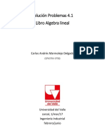 Solución Problemas 4.1 Algebra Linela PDF