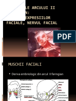 muschii mimicii nervul facial