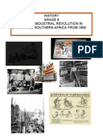 History Grade 8 Topic 1: The Industrial Revolution in Britain and Southern Africa From 1860