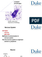 The Nervous System Introduction and Cell Types: Jennifer Carbrey Ph.D. Department of Cell Biology