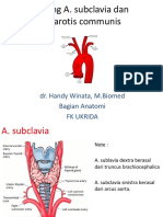 Cabang A. Subclavia Dan A. Carotis Externa - Dr. Handy - 29 April 2020 PDF