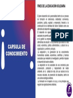 Cápsula de Conocimiento - Fines de La Educación Solidaria PDF