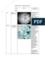 Informe de Biología