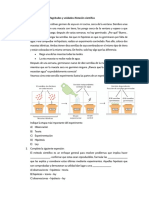 Semana 01 MAGNITUDES SI