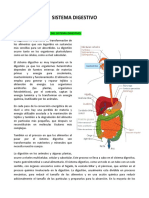 Resumen SISTEMA - DIGESTIVO - PDF