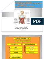 El SistemaDigestivo PDF