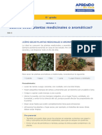 s5 6 Prim Dia 5 Secar Plantas Medicinales PDF