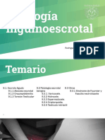 Patología inguinoescrotal .pptx(1)