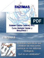 CLASE1. ENZIMAS CONCEPTOS GENERALES.pdf