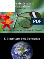 El Diseño Natural