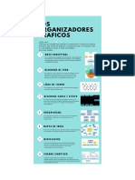 ORGANIZADORES GRAFICOS