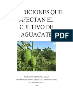 Condiciones que afectan el cultivo de aguacate