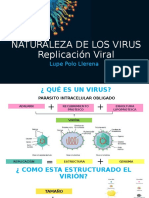 Naturaleza de Los Virus