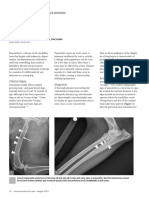 CV_Panosteitis